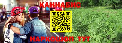 каннабис Краснознаменск