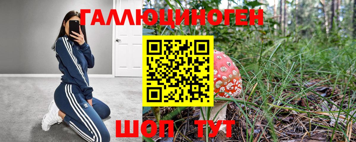 Ипатово  Псилоцибиновые грибы GOLDEN TEACHER  наркотики  Вход с VPN 